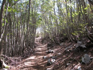 The hike up to Lovćen.